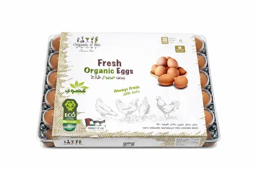 Egg Tray 08.jpg